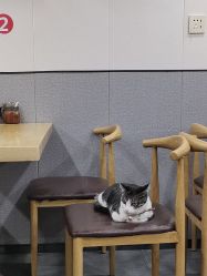-Dr.林醫生产后修复·超级店(南京江宁同曦店)