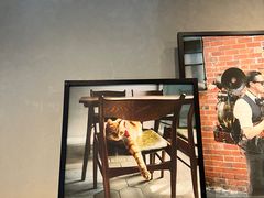 -Wagas沃歌斯(枫蓝国际店)