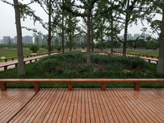 -汉长安城未央宫国家考古遗址公园