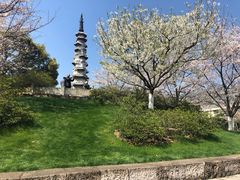-白塔公园-儿童游乐园