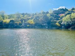 -北京西山国家森林公园