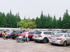 -上海滨江森林公园·停车场