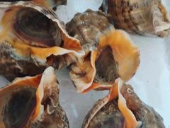 -宾朋海鲜美食餐厅·特色美食(兴海路店)