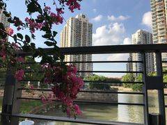 -苏州河梦清园环保主题公园