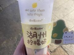 -猫的魔法密林(衣裳街店)