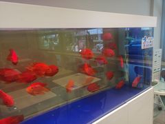 -蟹小满·蟹黄捞面(杭州西湖店)