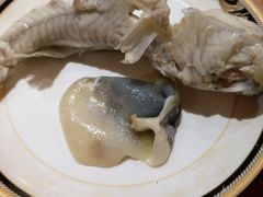河豚-神洲四海大酒楼(王府井澳门中心店)