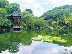 -云溪植物园