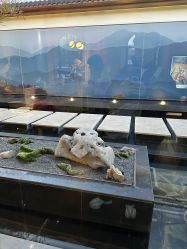 -爱儿美儿童摄影(朝阳公园店)
