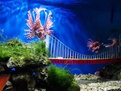 -太平洋海底世界