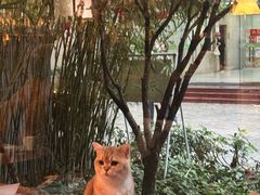 -咖法森林·咖啡  酒吧(天河店)