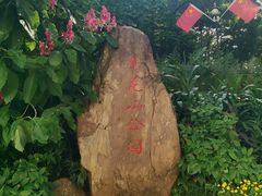 -莲花山公园
