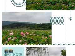 -南北湖风景区