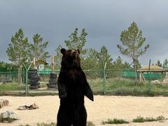 -鄂尔多斯野生动物园