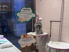 -FAELING PETS美天灵宠物(富力广场店)