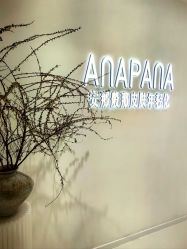 -安那般那皮肤年轻化ANAPANA