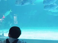 -常州海昌海洋探索馆