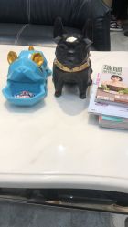 -IN STYLE·全国形象店