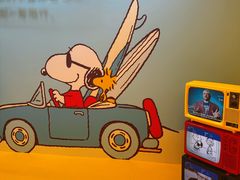 -九木杂物社(中心店)