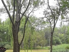 -大兴滨河森林公园