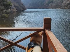 -仙居谷风景区