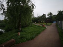 -白鹭湾湿地公园