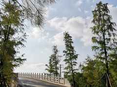 -广富林郊野公园