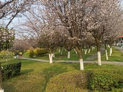 -成都中医药大学(温江校区)