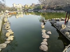 -莲湖公园
