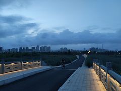 -三垟湿地
