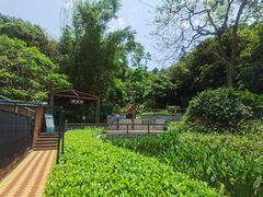 -石排湾郊野公园