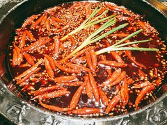 -蜀大侠火锅(建设路第五大道店)