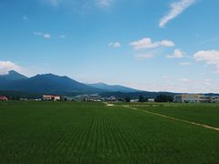 -富田农场