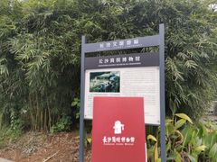 -长沙简牍博物馆