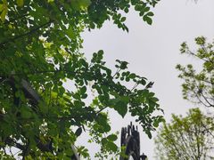 -天津意大利风情旅游区