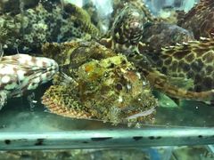 -厨房好味(国贸店)