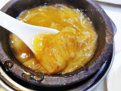 红烧大鲍翅-凤城礼记鱼翅海鲜酒家(新马路总店)
