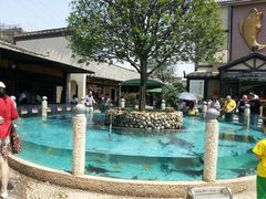 -天怡·鱼工厂(临江店)