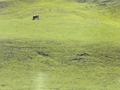 -新疆那拉提国家旅游度假区