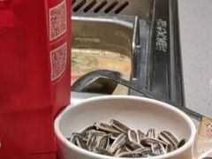 -海底捞火锅(中原万达广场店)