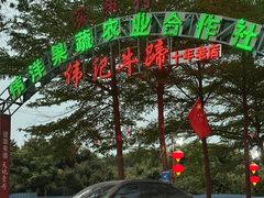 -伟记牛蹄(道滘店)