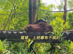 -广州长隆野生动物世界