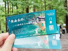 -黄海国家森林公园