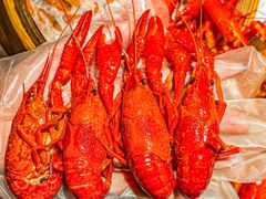 -靓靓蒸虾·头牌蒸虾(南山桂庙店)