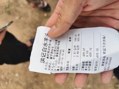 -洪记白水羊头(天坛店)