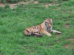 -西霞口神雕山野生动物世界