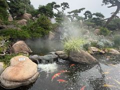 -罗红摄影艺术馆