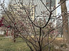 -山东大学(趵突泉校区)