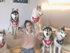 -Husky Go! 哈士奇体验馆·宠物咖啡厅狗咖