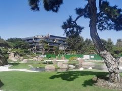 -罗红摄影艺术馆